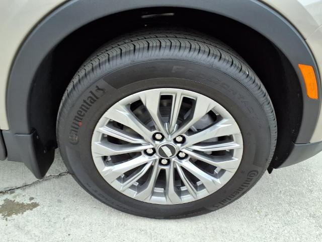 2025 Cadillac XT4 Vehicle Photo in Tampa, FL 33612