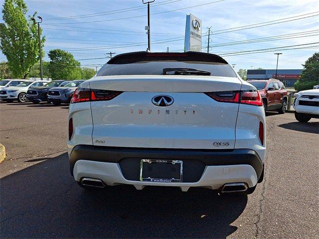 2024 INFINITI QX55 Vehicle Photo in Willow Grove, PA 19090
