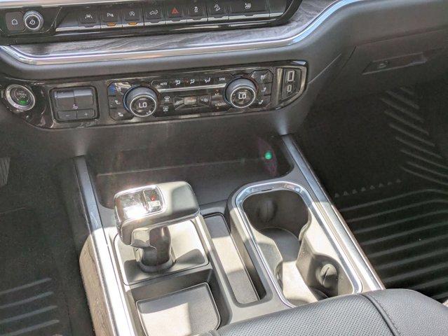 2023 Chevrolet Silverado 1500 Vehicle Photo in SELMA, TX 78154-1460