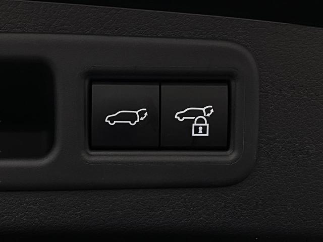 2024 Lexus RX 350 Vehicle Photo in Appleton, WI 54913