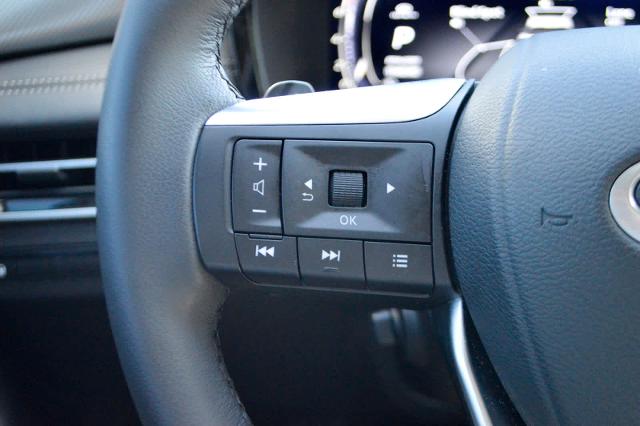 2024 INFINITI QX60 Vehicle Photo in Houston, TX 77090