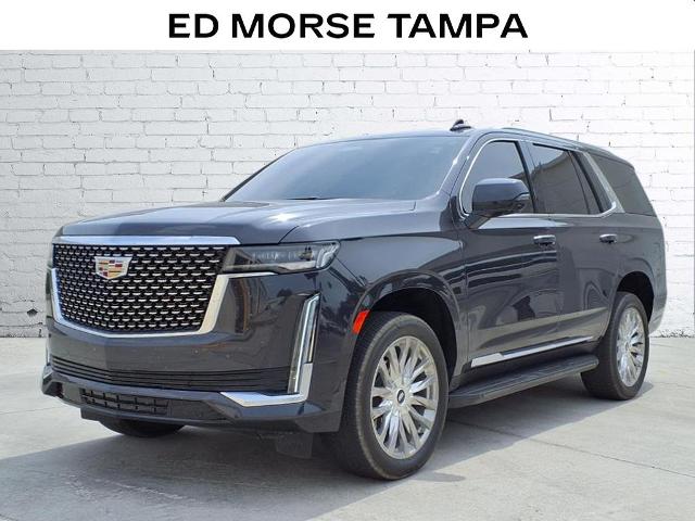 2024 Cadillac Escalade Vehicle Photo in Tampa, FL 33612