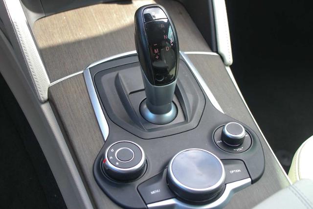 2019 Alfa Romeo Stelvio Vehicle Photo in SUGAR LAND, TX 77478