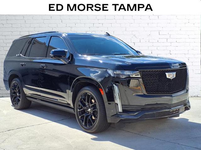 2023 Cadillac Escalade Vehicle Photo in Tampa, FL 33612