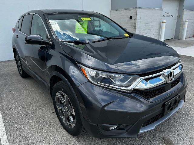 2019 Honda CR-V Vehicle Photo in Green Bay, WI 54304