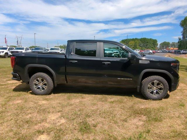 2024 GMC Sierra 1500 Vehicle Photo in ALBERTVILLE, AL 35950-0246