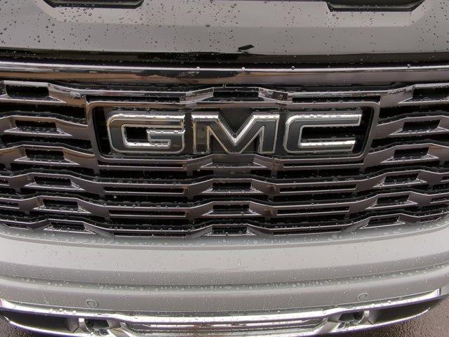 2025 GMC Sierra 1500 Vehicle Photo in ALBERTVILLE, AL 35950-0246