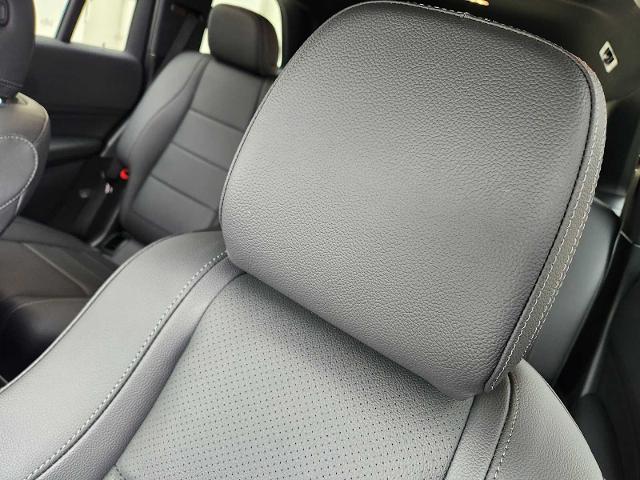 2025 Mercedes-Benz GLS Vehicle Photo in HOUSTON, TX 77079