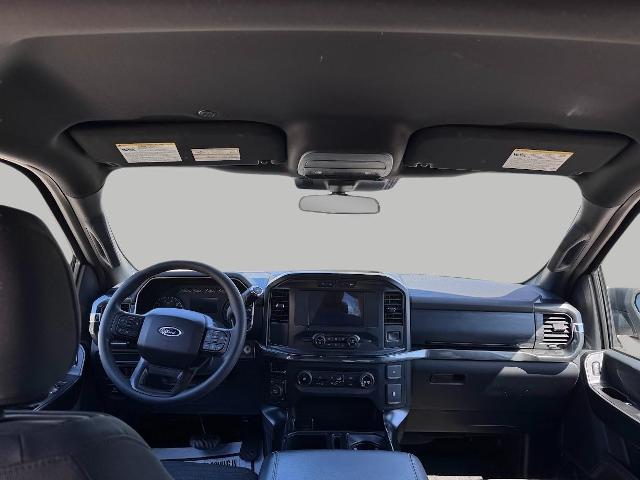 2021 Ford F-150 Vehicle Photo in Oshkosh, WI 54901