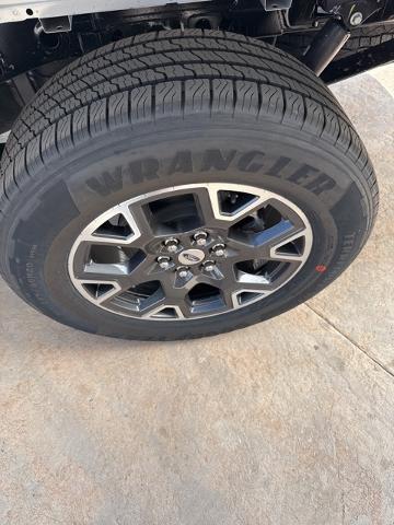 2025 Ford F-150 Vehicle Photo in Winslow, AZ 86047-2439