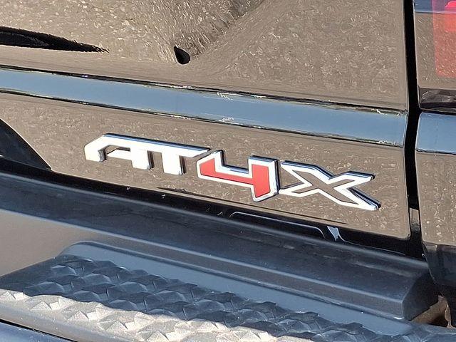 2024 GMC Canyon Vehicle Photo in DANBURY, CT 06810-5034