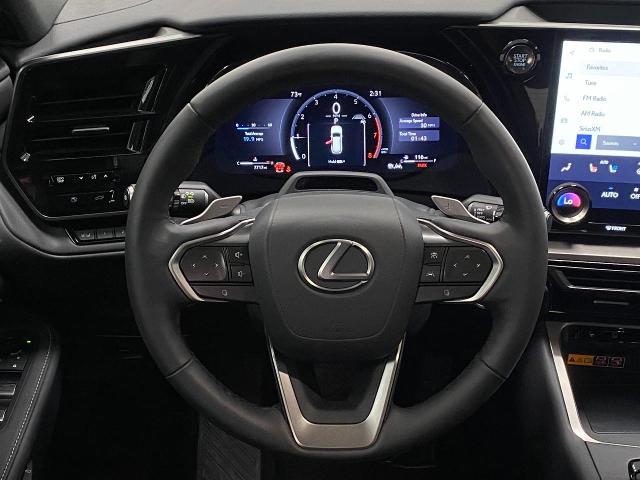 2024 Lexus TX 350 Vehicle Photo in Appleton, WI 54913