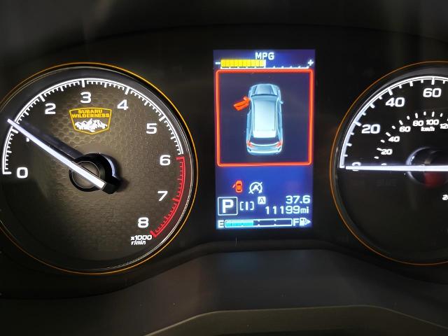 2024 Subaru Forester Vehicle Photo in Green Bay, WI 54304