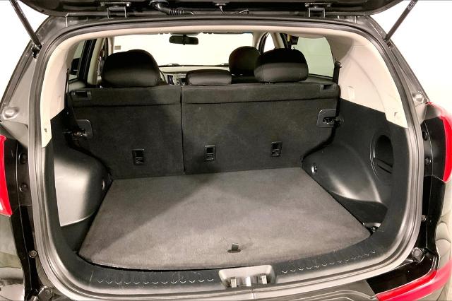 2015 Kia Sportage Vehicle Photo in Lees Summit, MO 64086