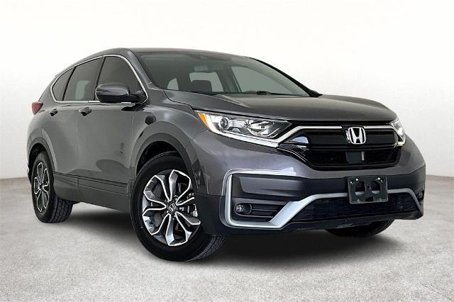 2022 Honda CR-V Vehicle Photo in San Antonio, TX 78230