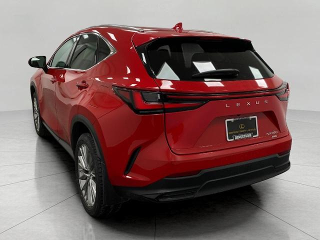 2024 Lexus NX 350 Vehicle Photo in Appleton, WI 54913