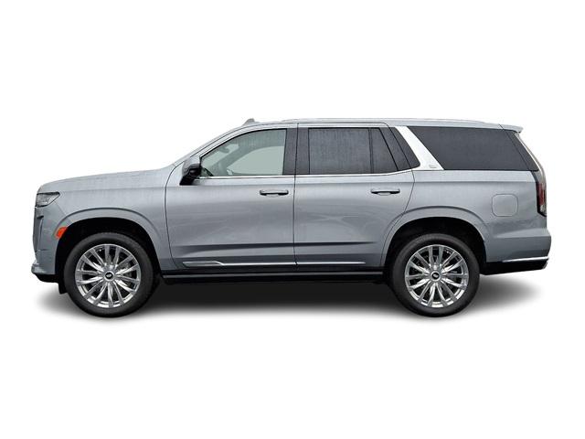 2024 Cadillac Escalade Vehicle Photo in ALLENTOWN, PA 18103-7399