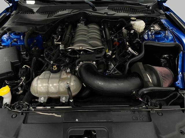 2019 Ford Mustang Vehicle Photo in Appleton, WI 54913