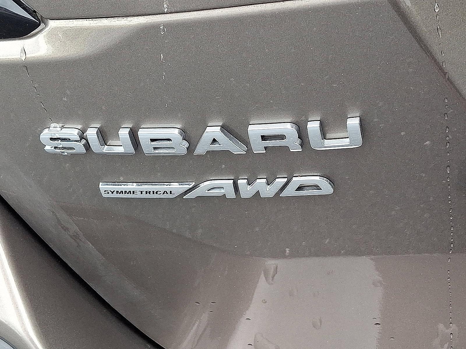 2024 Subaru Outback Vehicle Photo in Easton, PA 18045