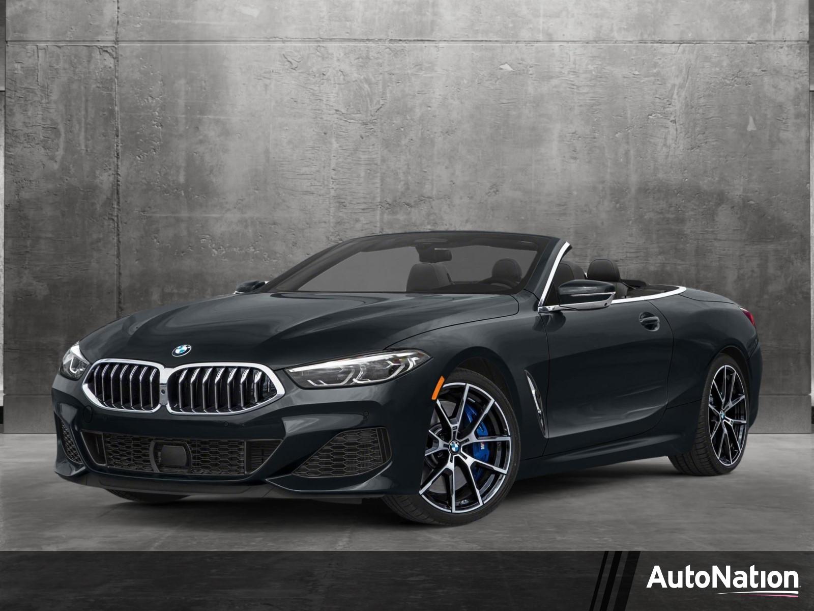 2019 BMW M850i xDrive Vehicle Photo in Wesley Chapel, FL 33544