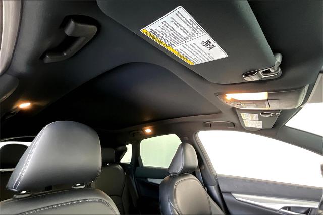 2021 INFINITI QX50 Vehicle Photo in Grapevine, TX 76051