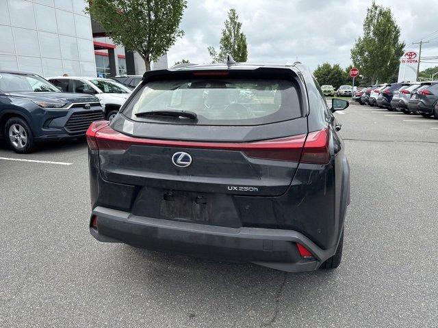 2020 Lexus UX 250h Vehicle Photo in Flemington, NJ 08822