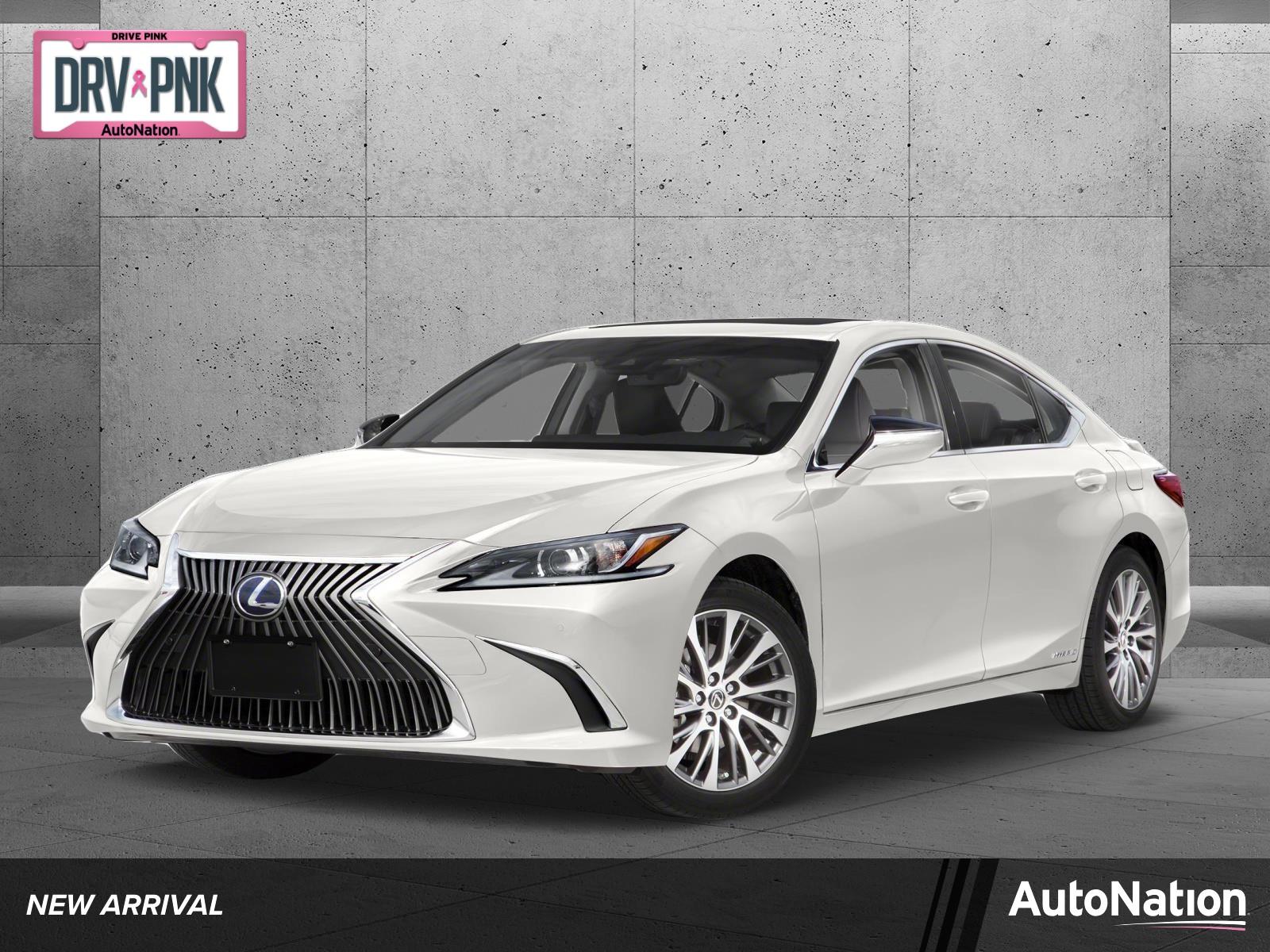 2020 Lexus ES 300h Vehicle Photo in Sanford, FL 32771