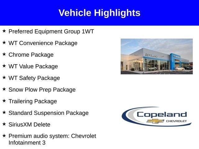 2025 Chevrolet Silverado 1500 Vehicle Photo in BROCKTON, MA 02301-7113