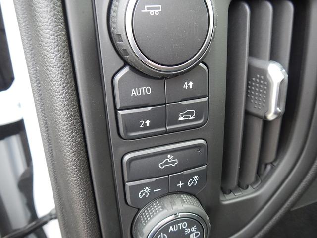 2025 Chevrolet Silverado 1500 Vehicle Photo in JASPER, GA 30143-8655