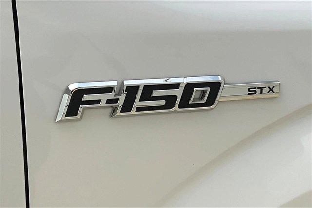 2014 Ford F-150 Vehicle Photo in TOPEKA, KS 66609-0000