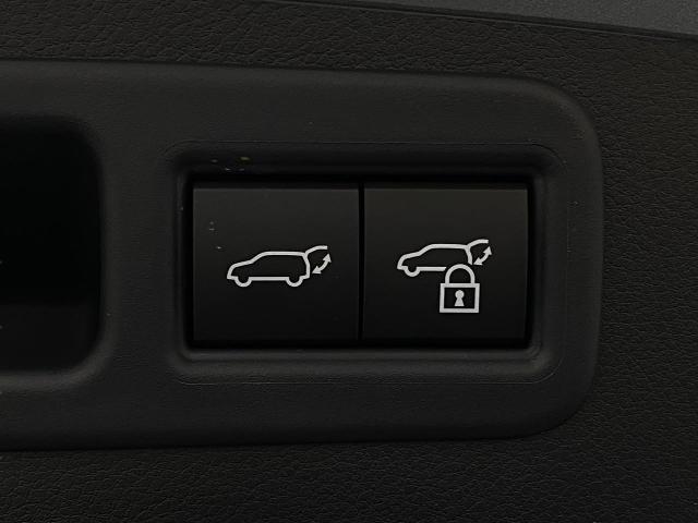 2025 Lexus RX 350h Vehicle Photo in Appleton, WI 54913