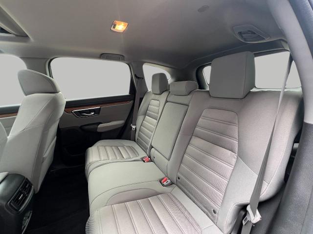 2019 Honda CR-V Vehicle Photo in Appleton, WI 54914
