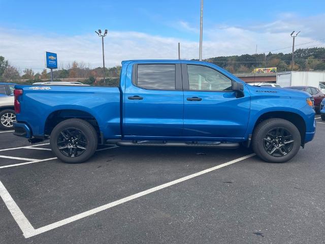 2024 Chevrolet Silverado 1500 Vehicle Photo in GARDNER, MA 01440-3110