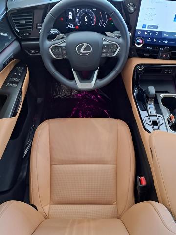 2025 Lexus NX 350 Vehicle Photo in Oshkosh, WI 54904