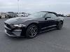 Used 2022 Ford Mustang EcoBoost with VIN 1FATP8UH4N5101422 for sale in Belle Plaine, Minnesota