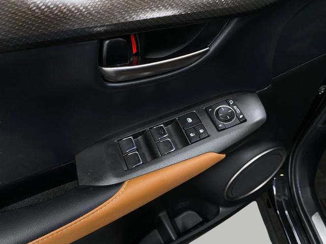 2020 Lexus NX 300 Vehicle Photo in Appleton, WI 54913