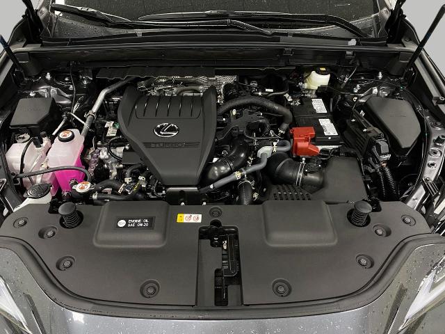 2025 Lexus NX 350 Vehicle Photo in Appleton, WI 54913