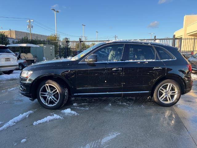 2015 Audi Q5 Vehicle Photo in Grapevine, TX 76051