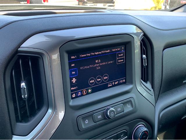 2025 Chevrolet Silverado 1500 Vehicle Photo in SAVANNAH, GA 31406-4513