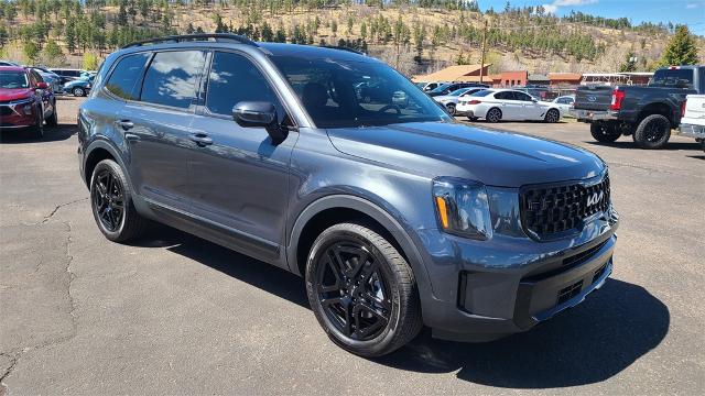 2024 Kia Telluride Vehicle Photo in FLAGSTAFF, AZ 86001-6214