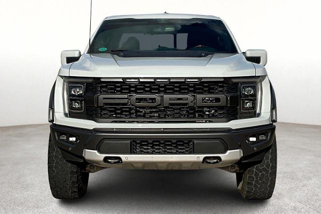 2023 Ford F-150 Vehicle Photo in San Antonio, TX 78230