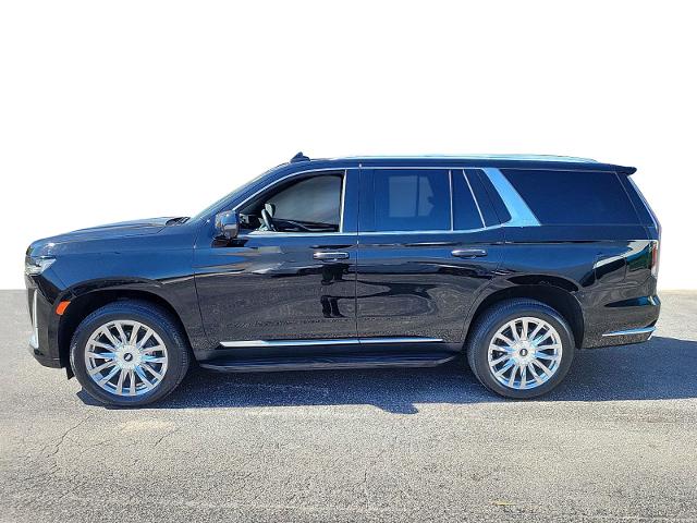 2021 Cadillac Escalade Vehicle Photo in POMPANO BEACH, FL 33064-7091