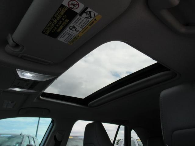 2021 Toyota RAV4 Vehicle Photo in LEESBURG, FL 34788-4022
