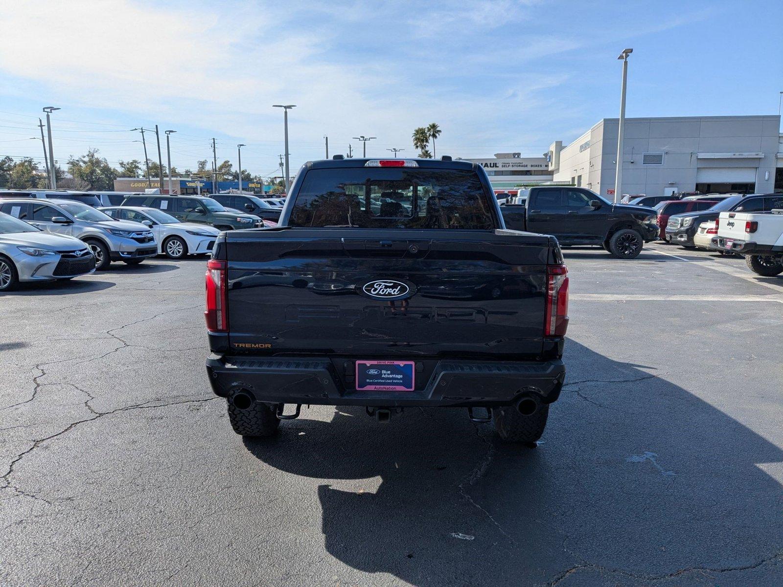 2024 Ford F-150 Vehicle Photo in Panama City, FL 32401