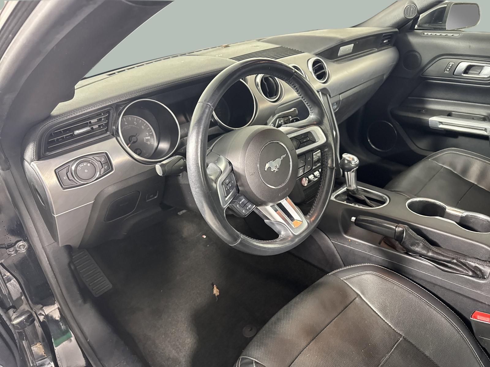2018 Ford Mustang Vehicle Photo in GEORGETOWN, TX 78626-7508