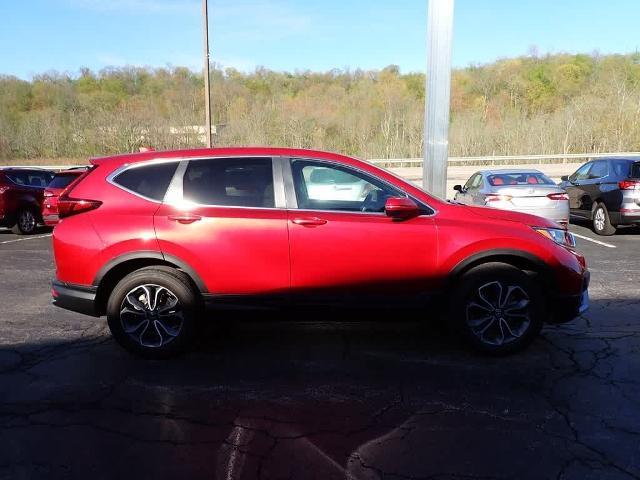 2020 Honda CR-V Vehicle Photo in ZELIENOPLE, PA 16063-2910