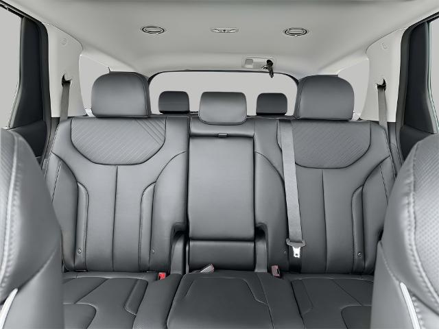 2025 Hyundai PALISADE Vehicle Photo in Green Bay, WI 54304