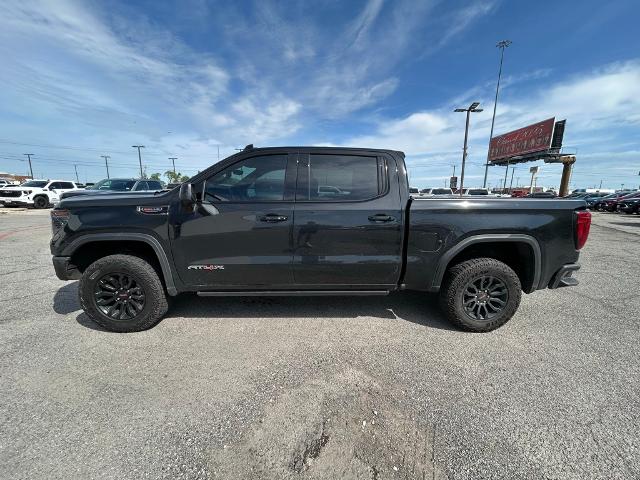 2023 GMC Sierra 1500 Vehicle Photo in Greenville, TX 75402