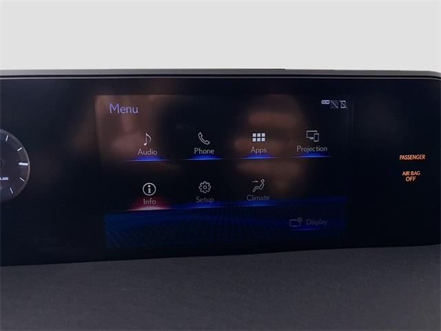 2020 Lexus UX 250h Vehicle Photo in Puyallup, WA 98371