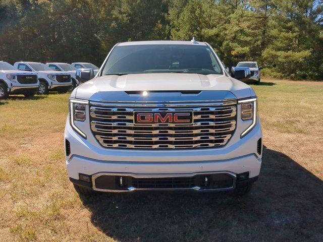 2025 GMC Sierra 1500 Vehicle Photo in ALBERTVILLE, AL 35950-0246